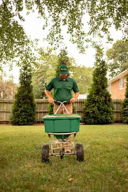 Weed lawn deals care services